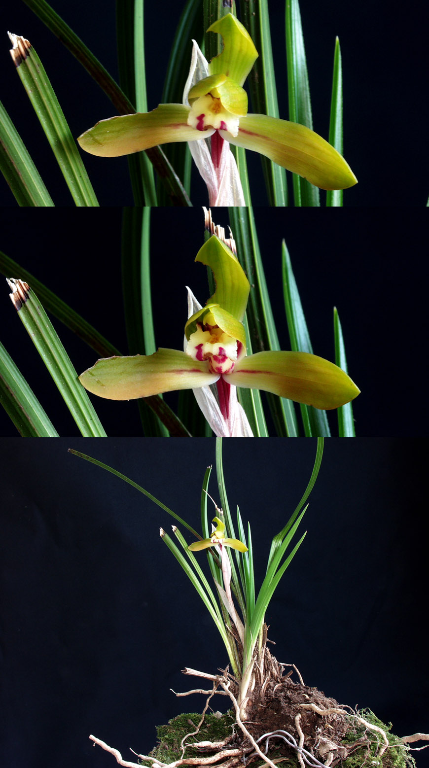 ������ ū������ �� �� �ֽ��ϴ�.