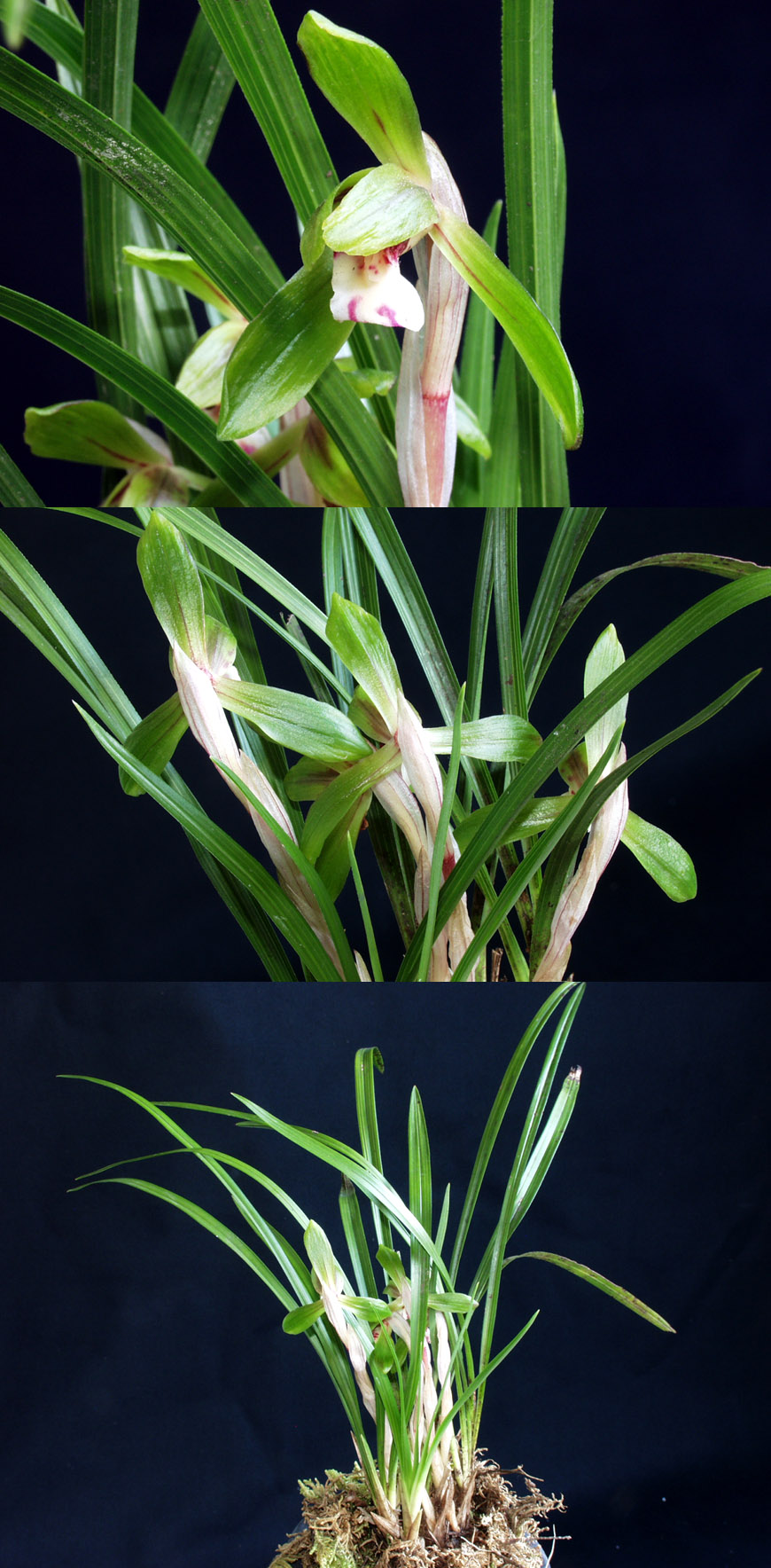 ������ ū������ �� �� �ֽ��ϴ�.