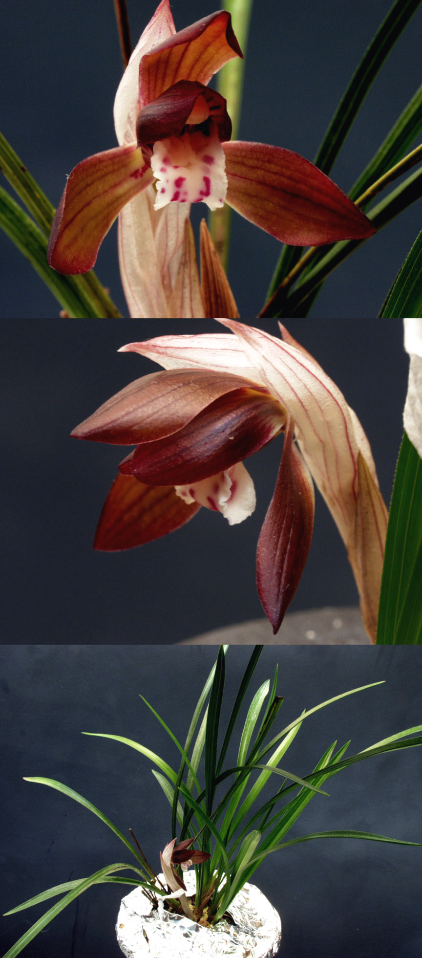 ������ ū������ �� �� �ֽ��ϴ�.