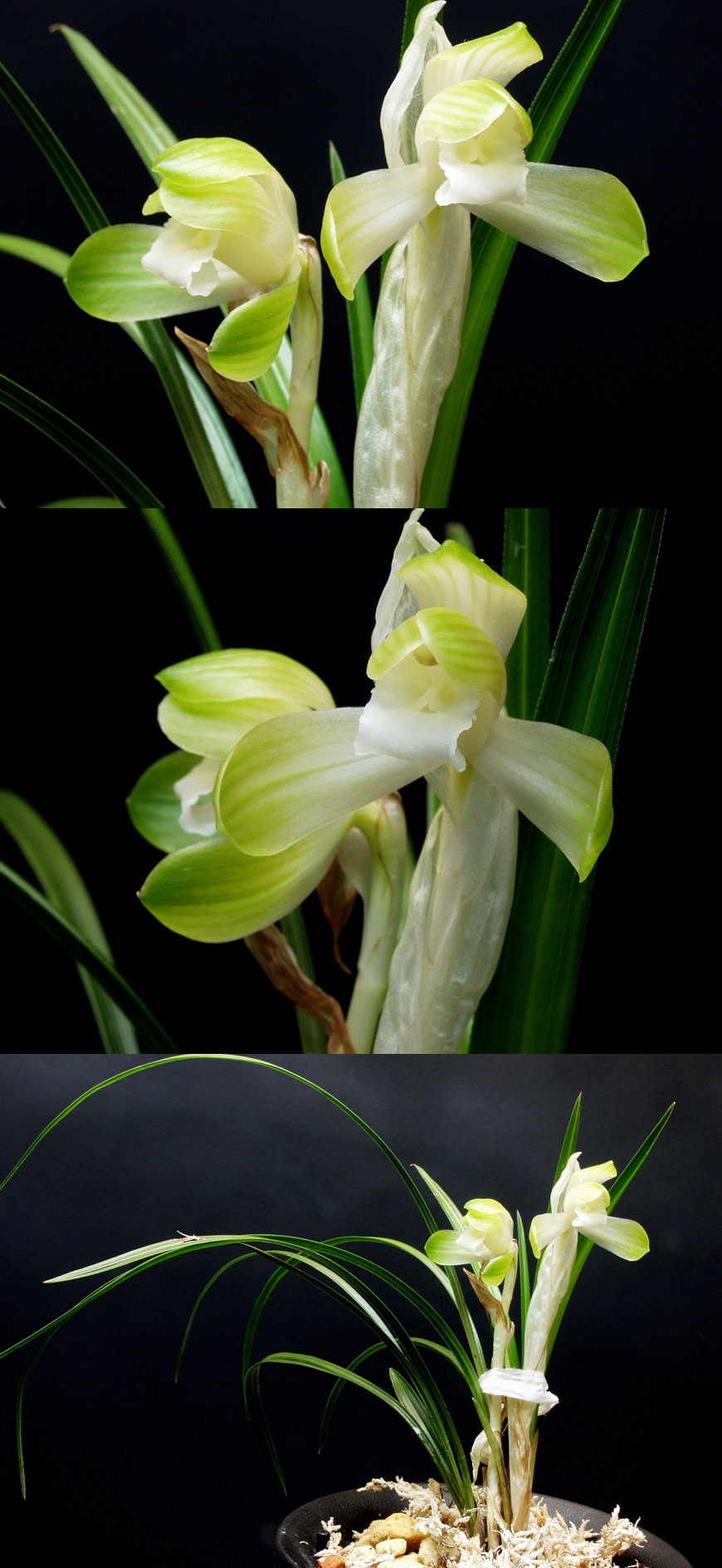 ������ ū������ �� �� �ֽ��ϴ�.