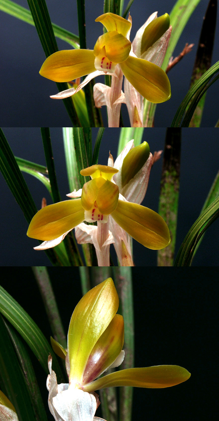 ������ ū������ �� �� �ֽ��ϴ�.