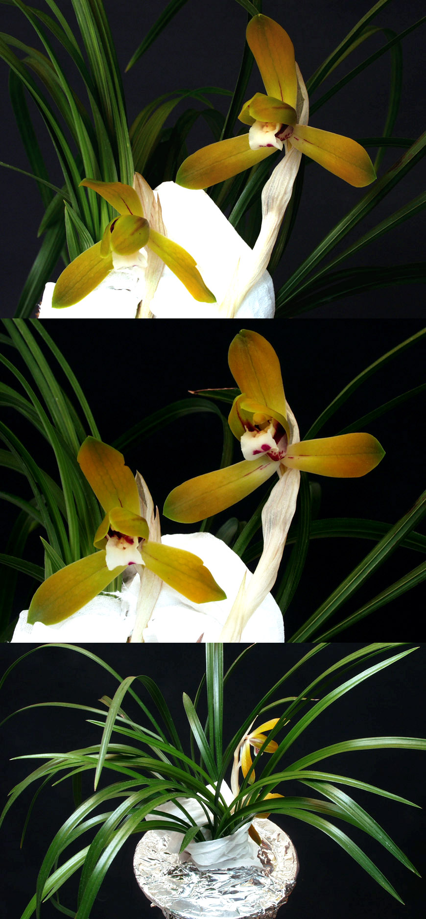 ������ ū������ �� �� �ֽ��ϴ�.