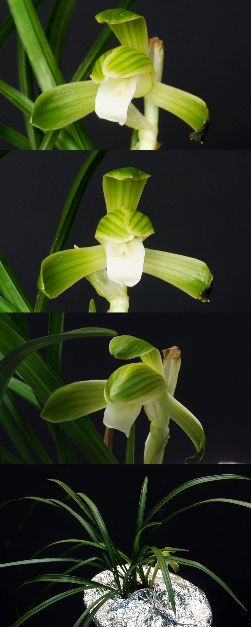 ������ ū������ �� �� �ֽ��ϴ�.