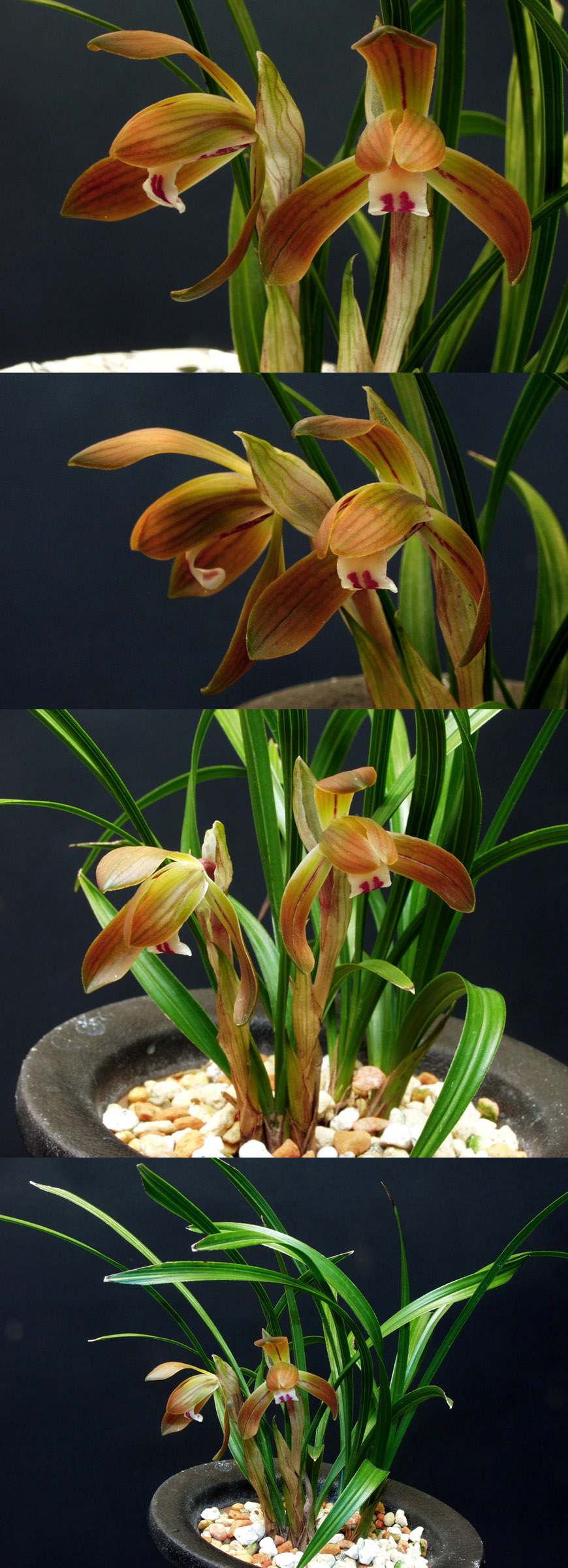 ������ ū������ �� �� �ֽ��ϴ�.