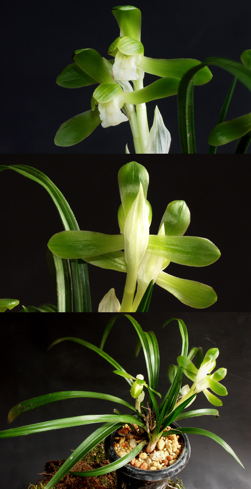 ������ ū������ �� �� �ֽ��ϴ�.