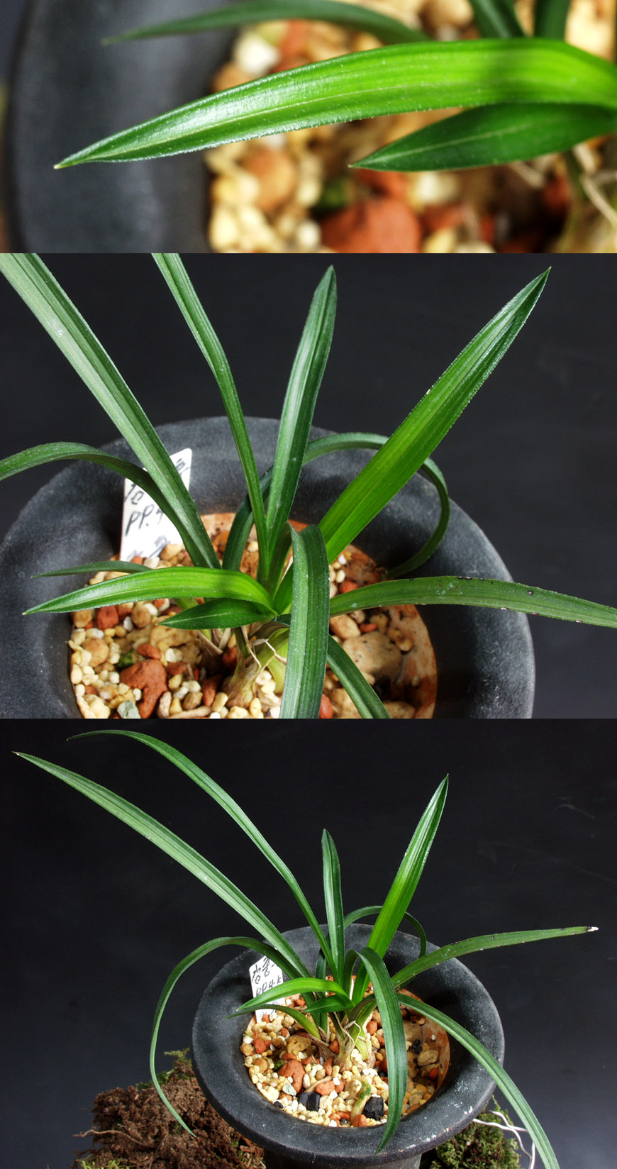 ������ ū������ �� �� �ֽ��ϴ�.