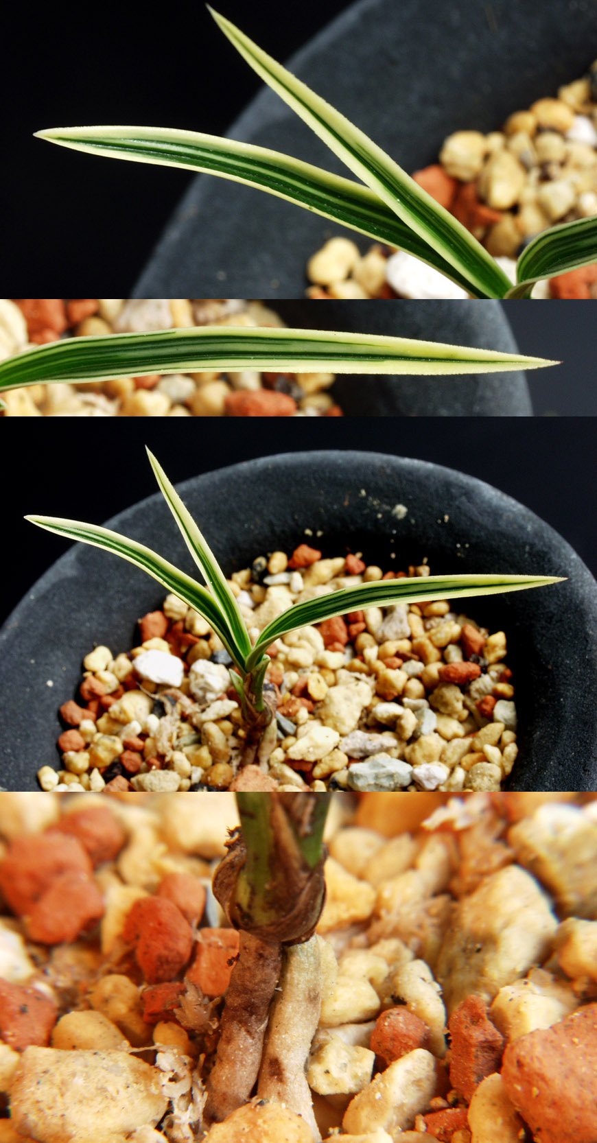 ������ ū������ �� �� �ֽ��ϴ�.