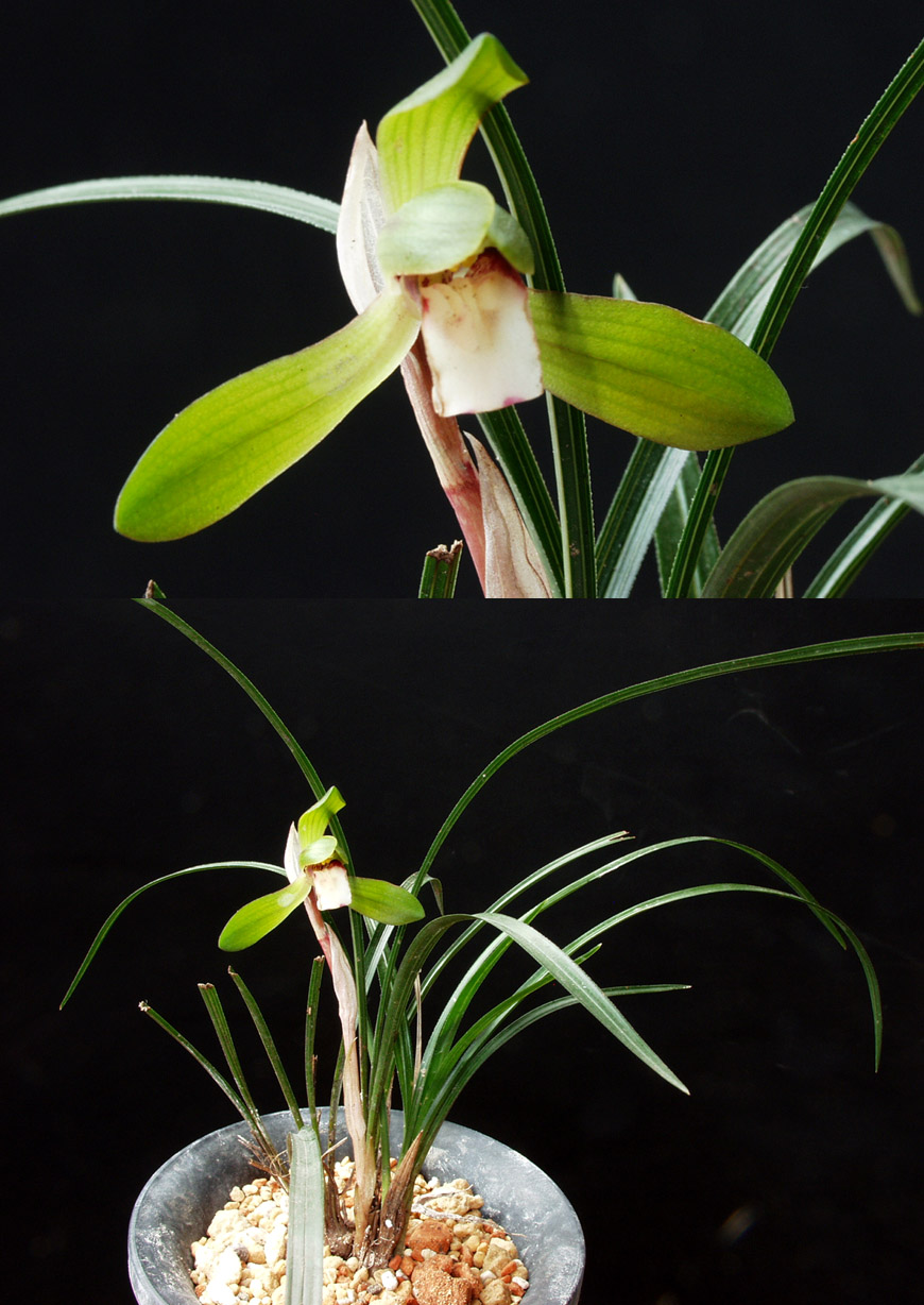 ������ ū������ �� �� �ֽ��ϴ�.