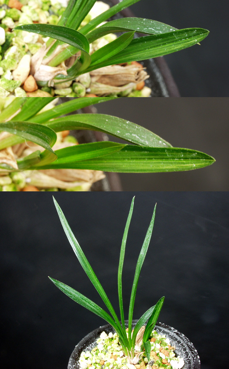 ������ ū������ �� �� �ֽ��ϴ�.