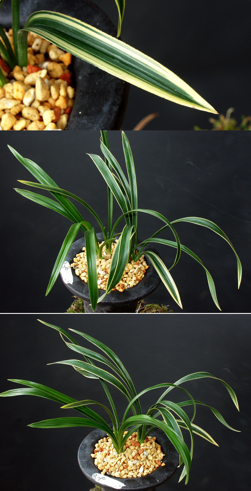 ������ ū������ �� �� �ֽ��ϴ�.