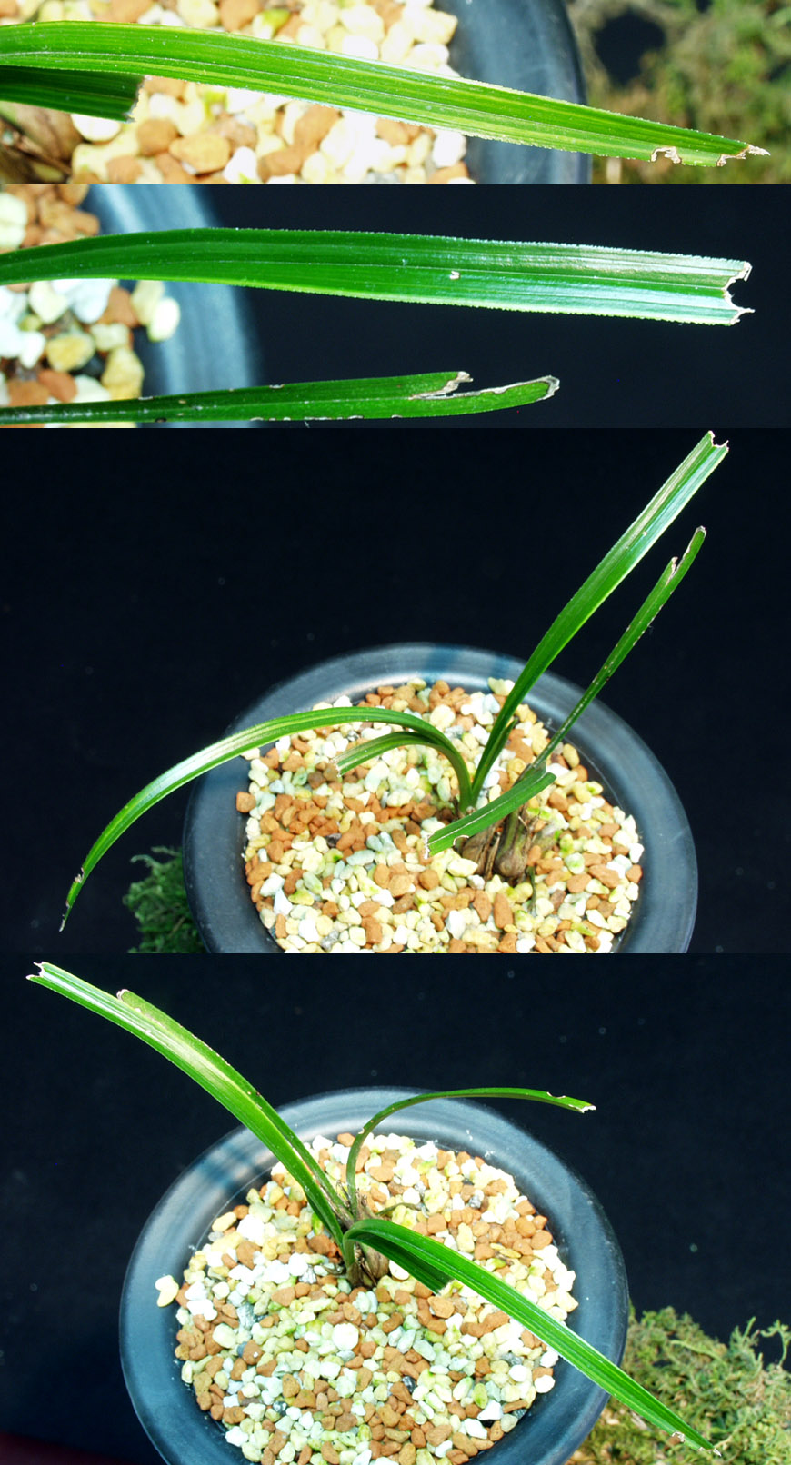 ������ ū������ �� �� �ֽ��ϴ�.