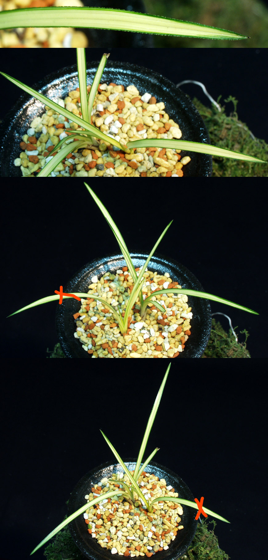 ������ ū������ �� �� �ֽ��ϴ�.