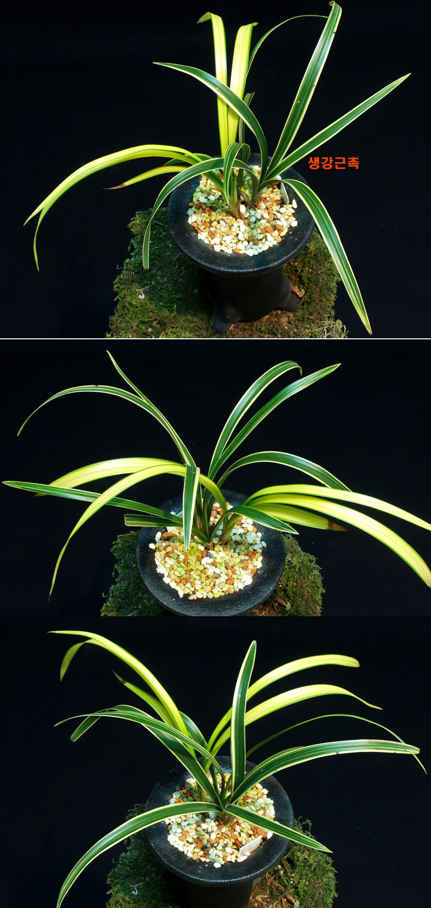 ������ ū������ �� �� �ֽ��ϴ�.