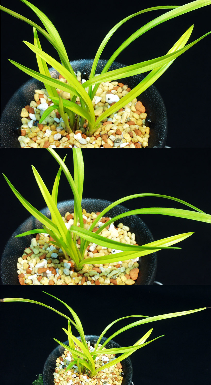 ������ ū������ �� �� �ֽ��ϴ�.