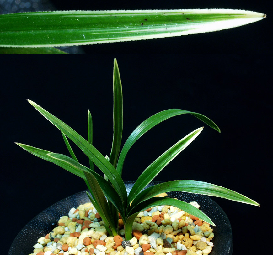 ������ ū������ �� �� �ֽ��ϴ�.