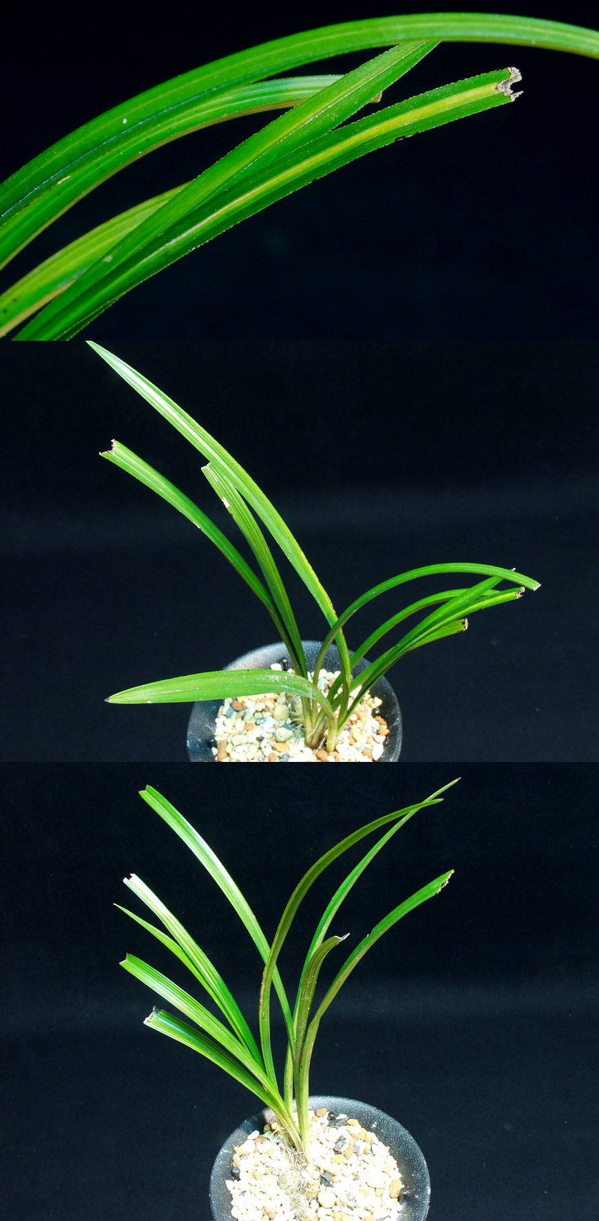 ������ ū������ �� �� �ֽ��ϴ�.