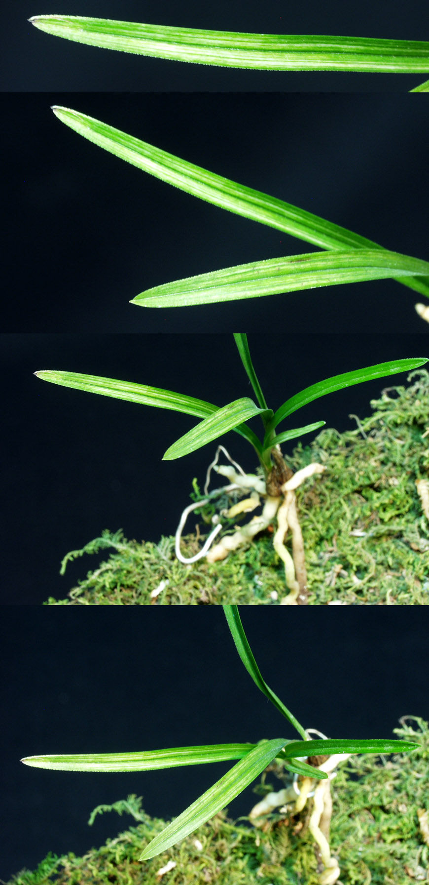 ������ ū������ �� �� �ֽ��ϴ�.