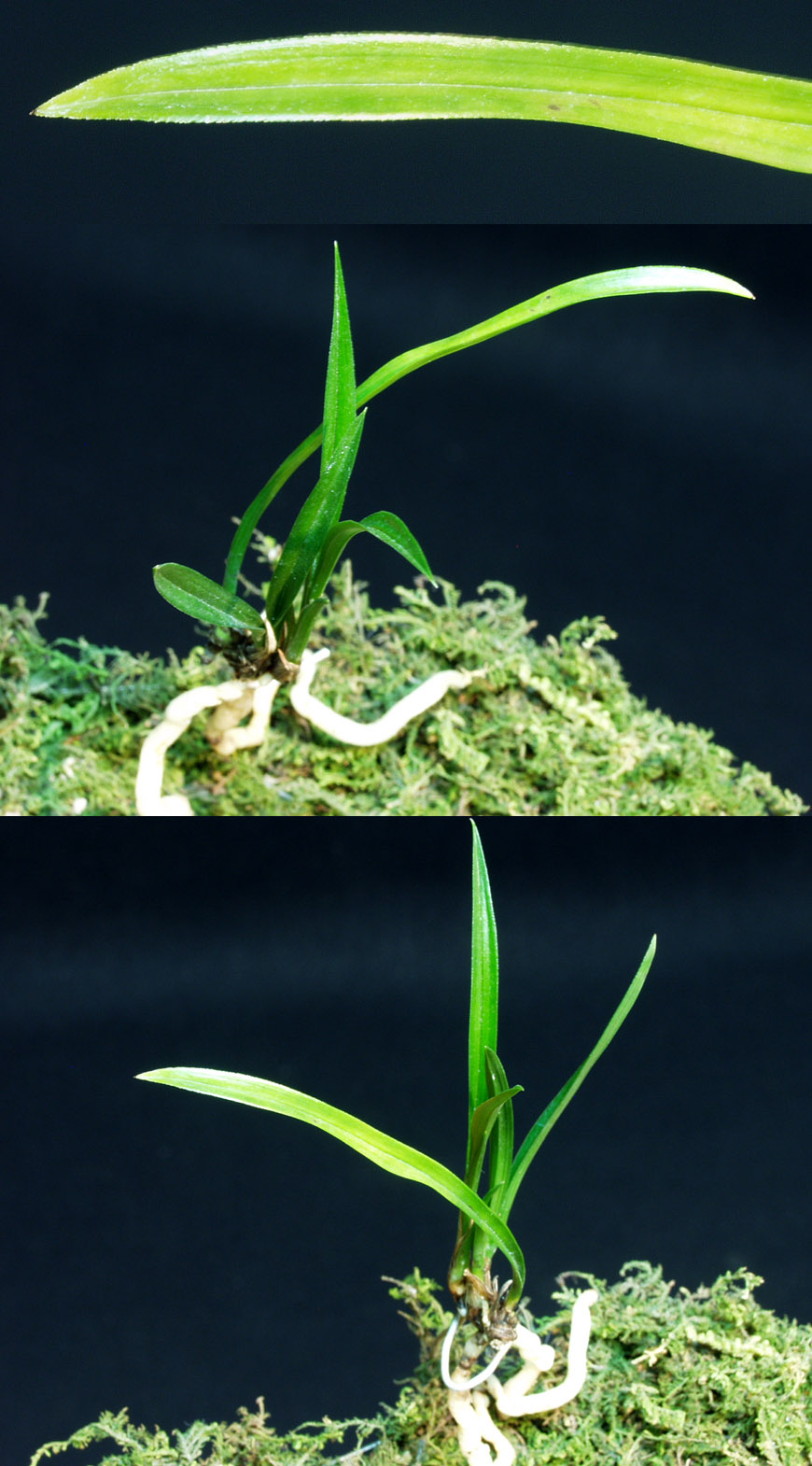 ������ ū������ �� �� �ֽ��ϴ�.