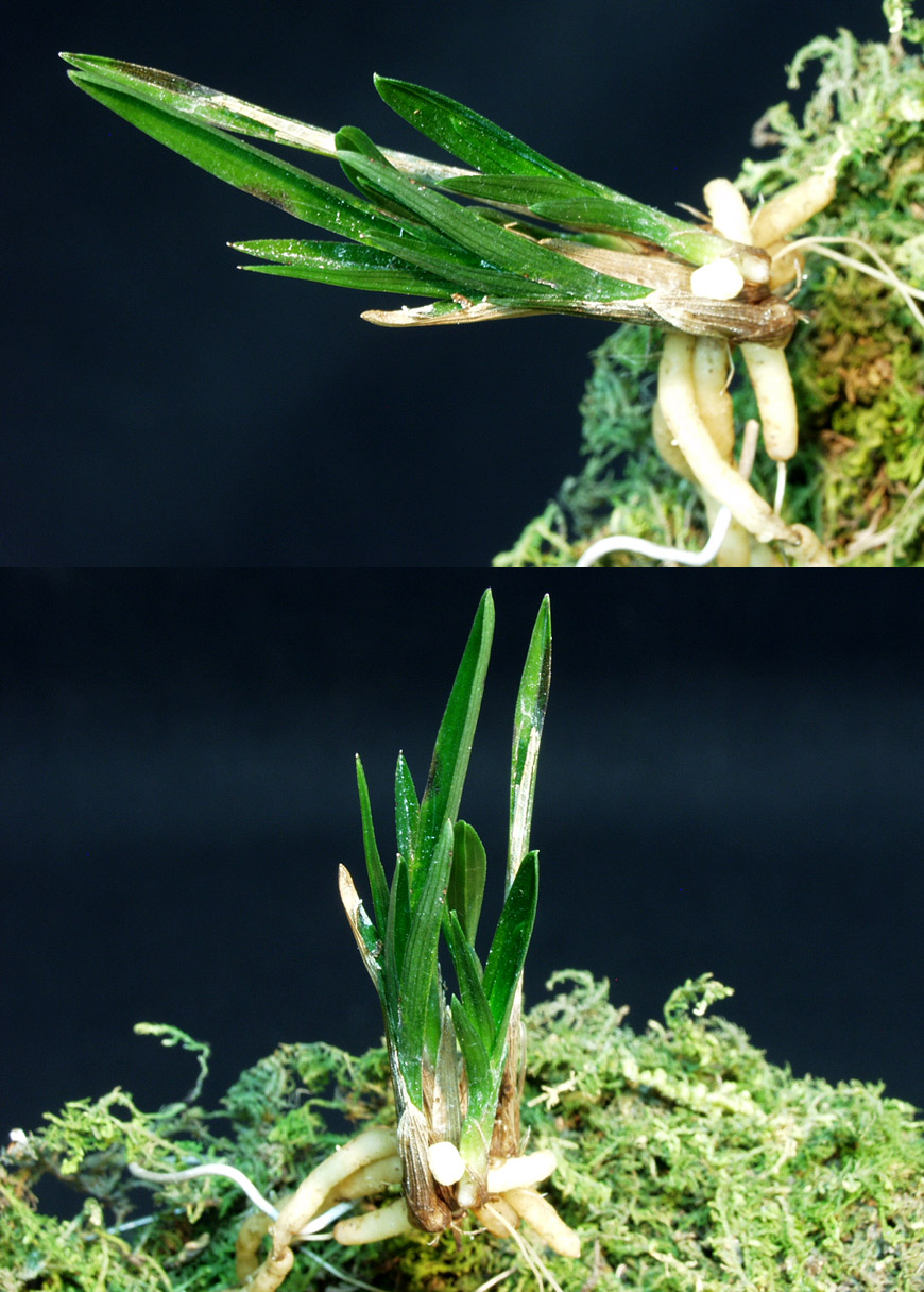 ������ ū������ �� �� �ֽ��ϴ�.