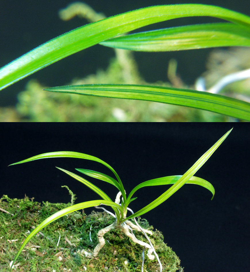 ������ ū������ �� �� �ֽ��ϴ�.