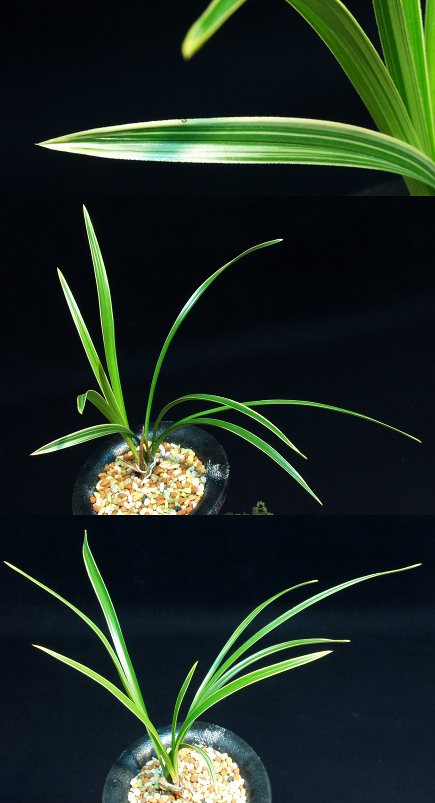 ������ ū������ �� �� �ֽ��ϴ�.