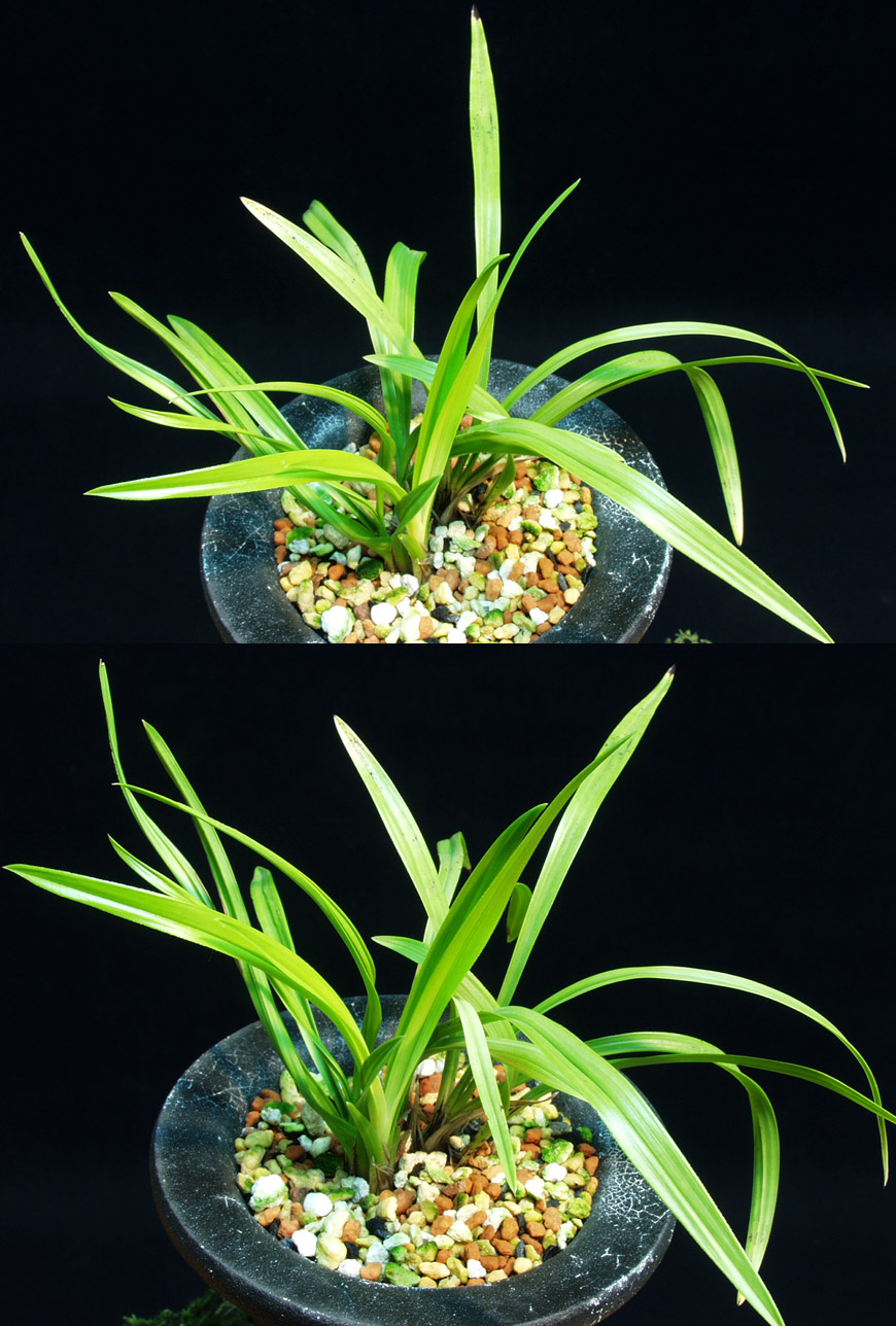 ������ ū������ �� �� �ֽ��ϴ�.