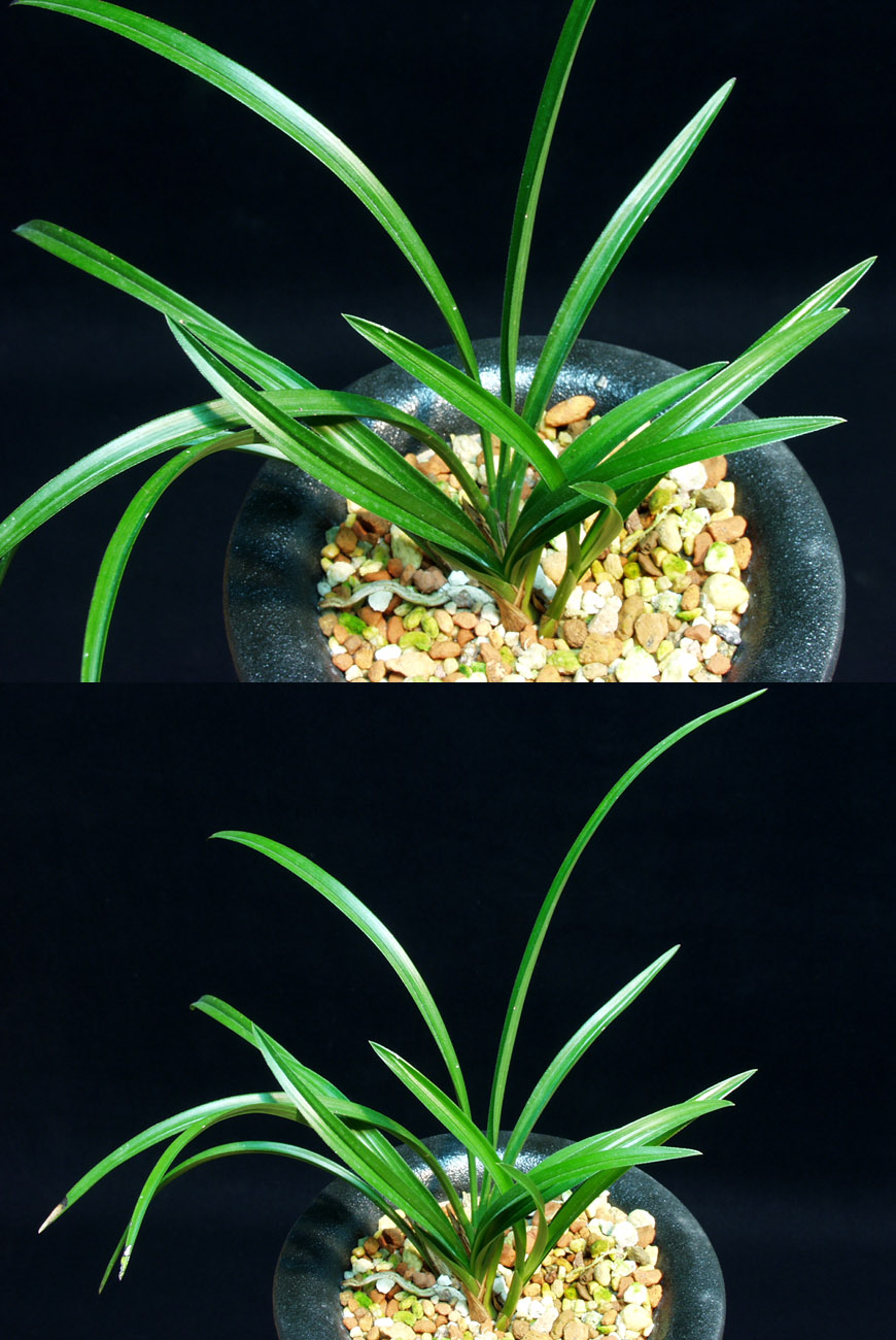 ������ ū������ �� �� �ֽ��ϴ�.