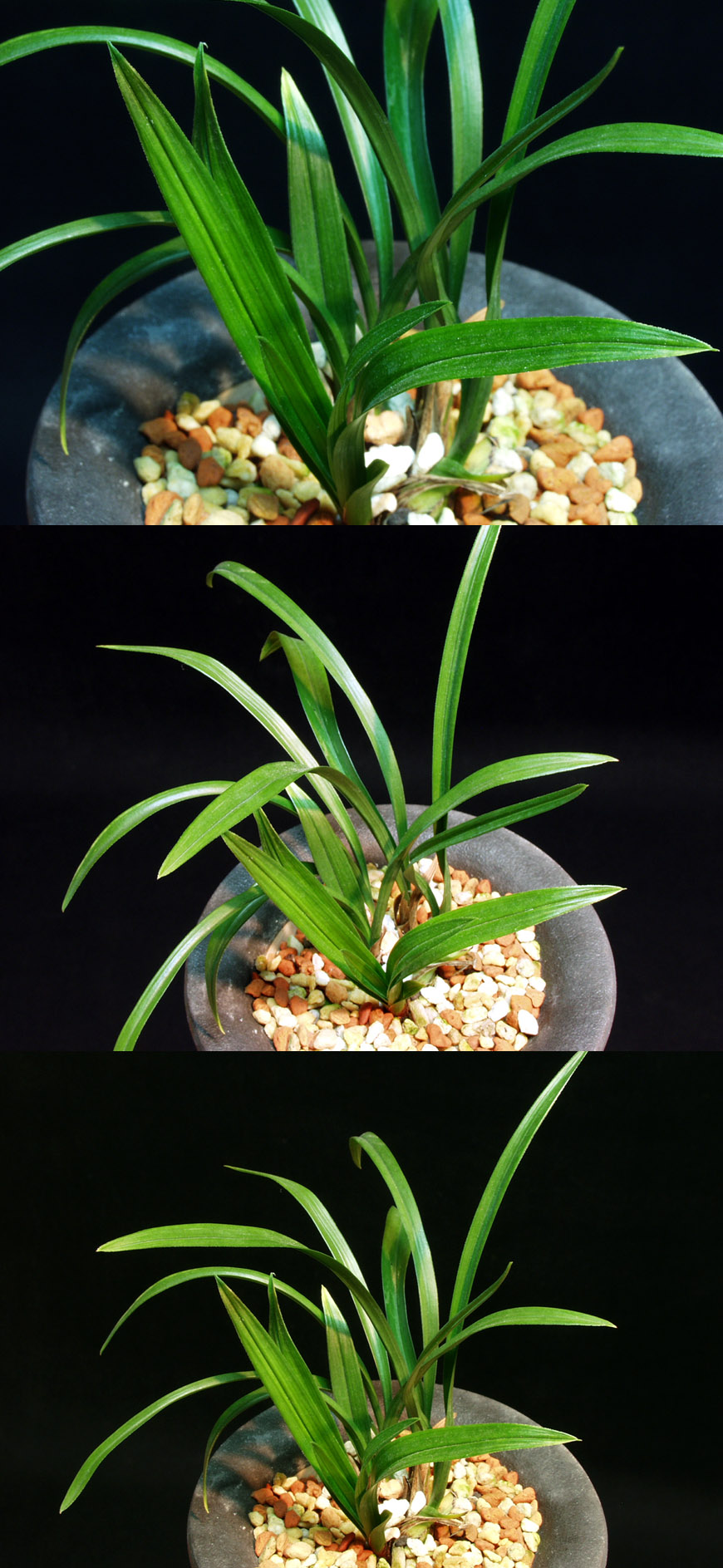 ������ ū������ �� �� �ֽ��ϴ�.