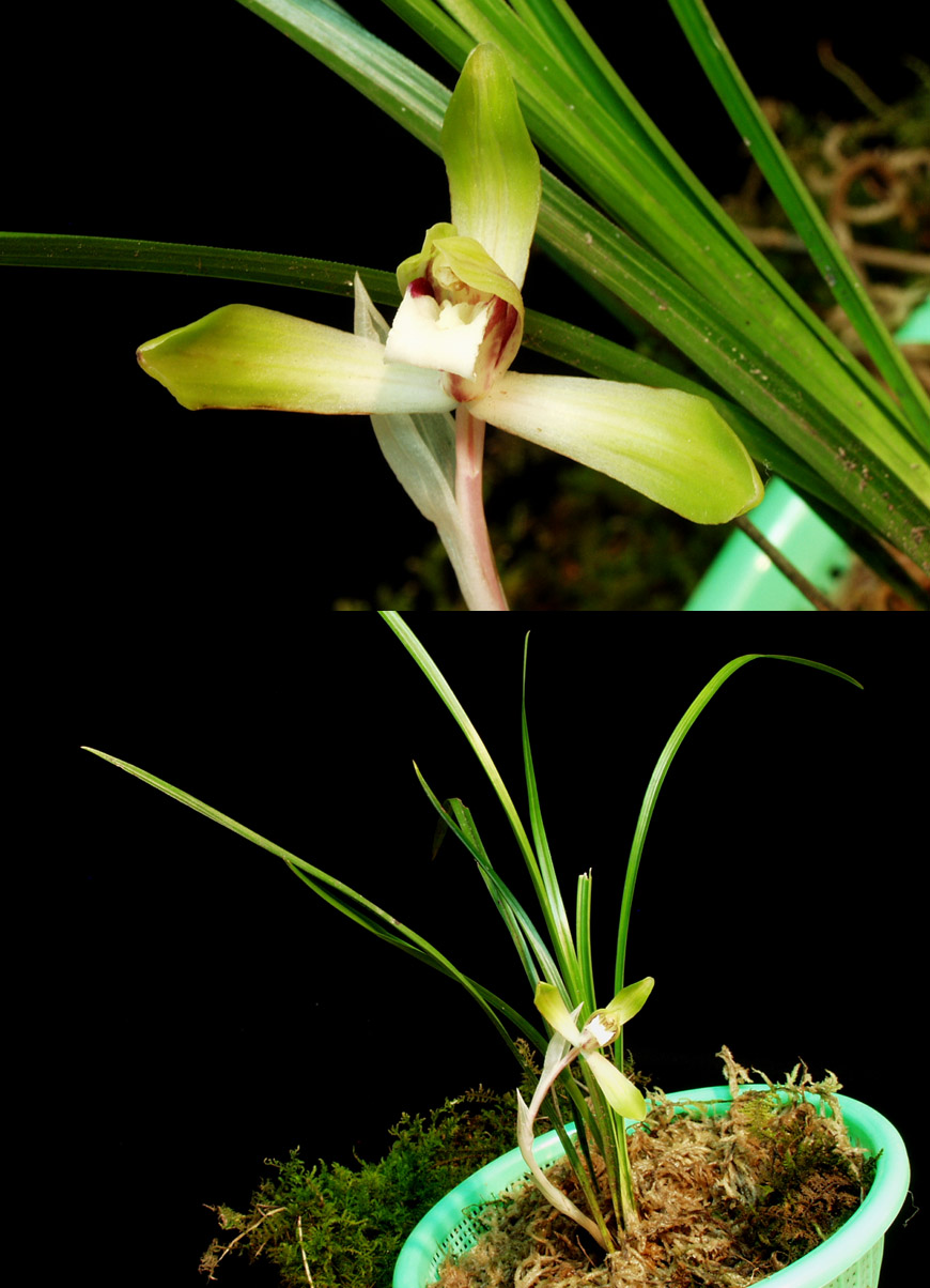 ������ ū������ �� �� �ֽ��ϴ�.