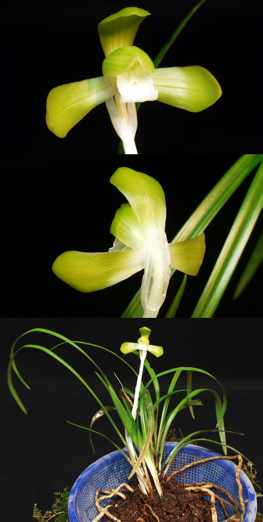 ������ ū������ �� �� �ֽ��ϴ�.