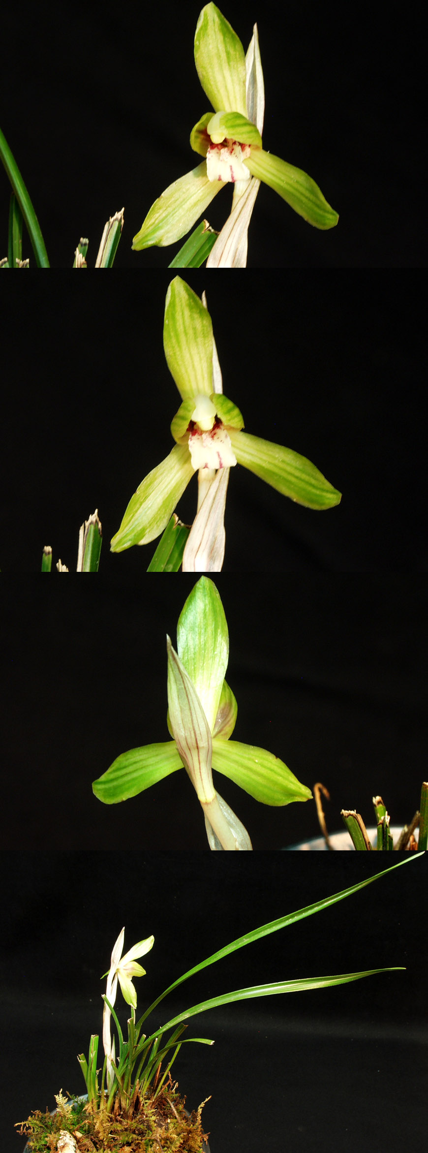 ������ ū������ �� �� �ֽ��ϴ�.