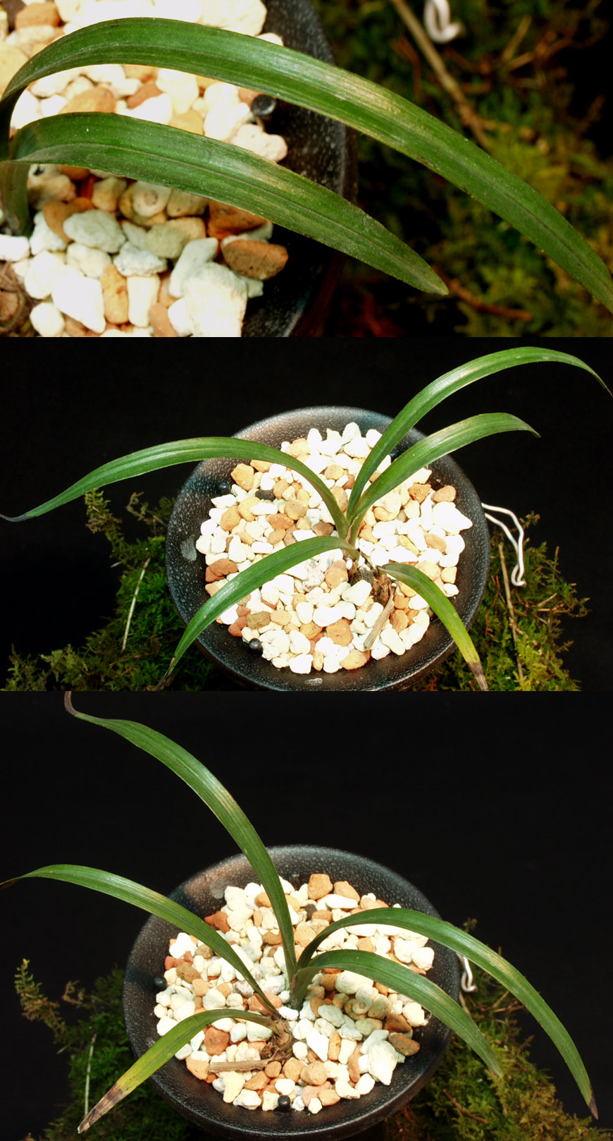 ������ ū������ �� �� �ֽ��ϴ�.