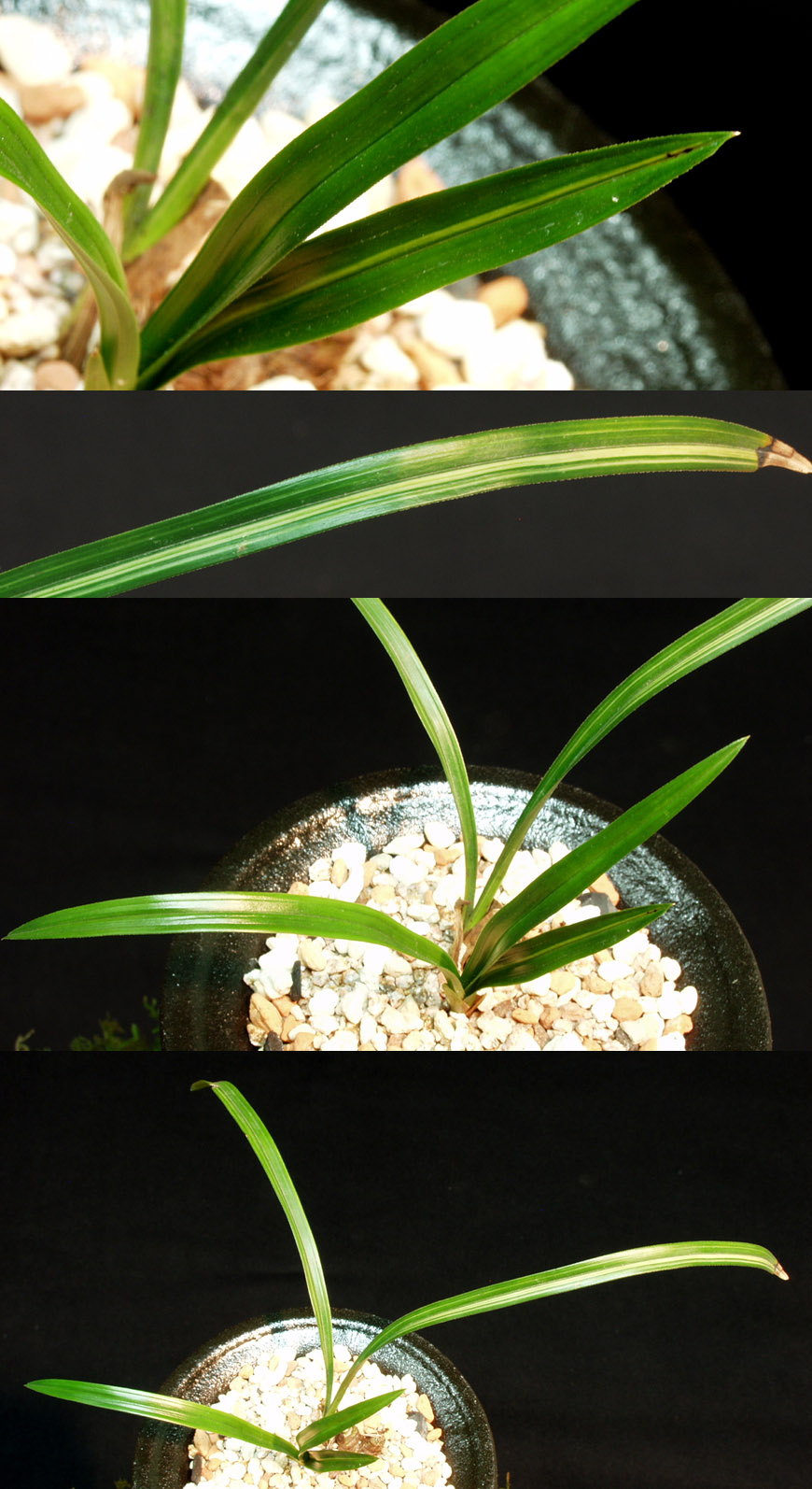 ������ ū������ �� �� �ֽ��ϴ�.