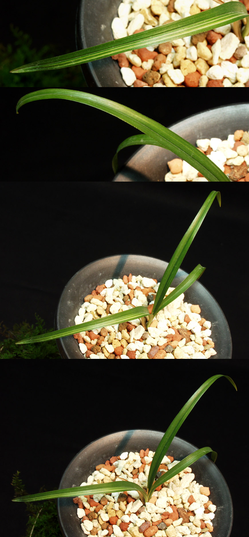 ������ ū������ �� �� �ֽ��ϴ�.