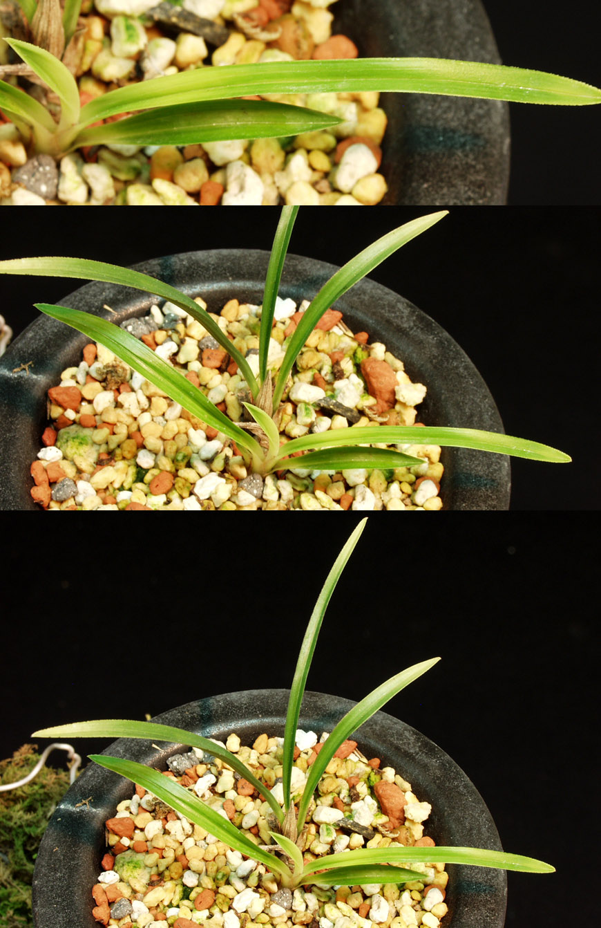 ������ ū������ �� �� �ֽ��ϴ�.