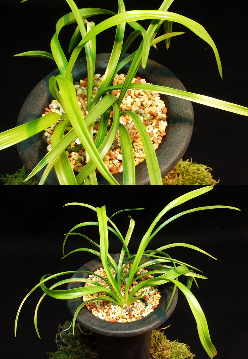 ������ ū������ �� �� �ֽ��ϴ�.