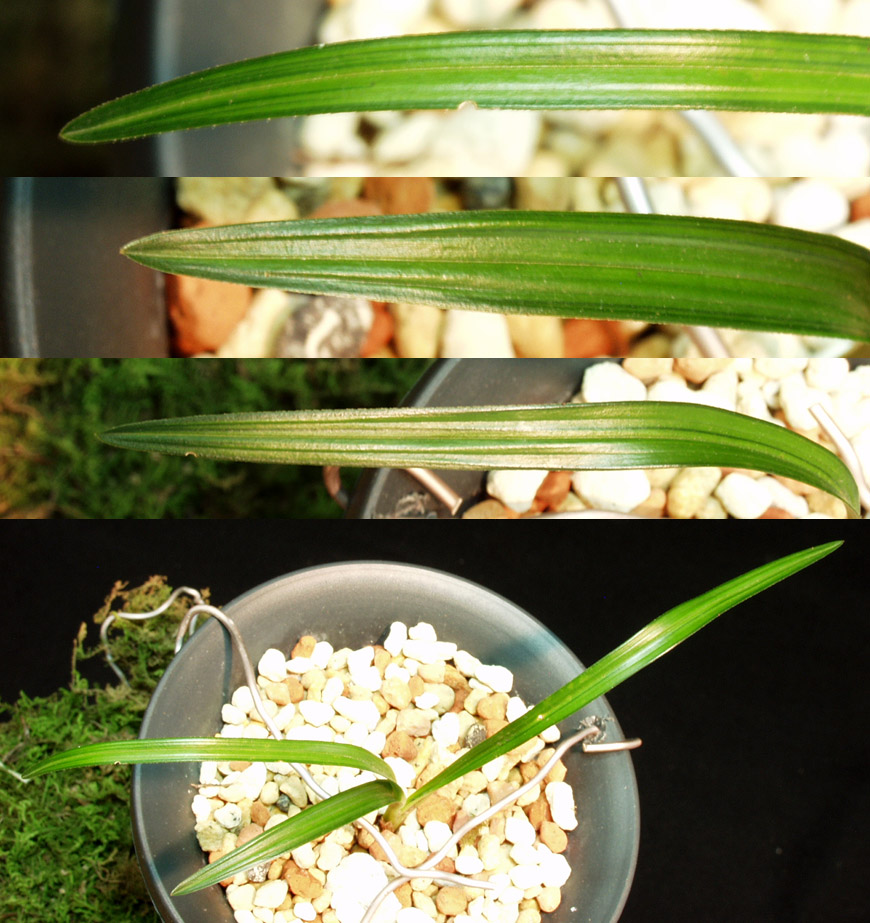 ������ ū������ �� �� �ֽ��ϴ�.