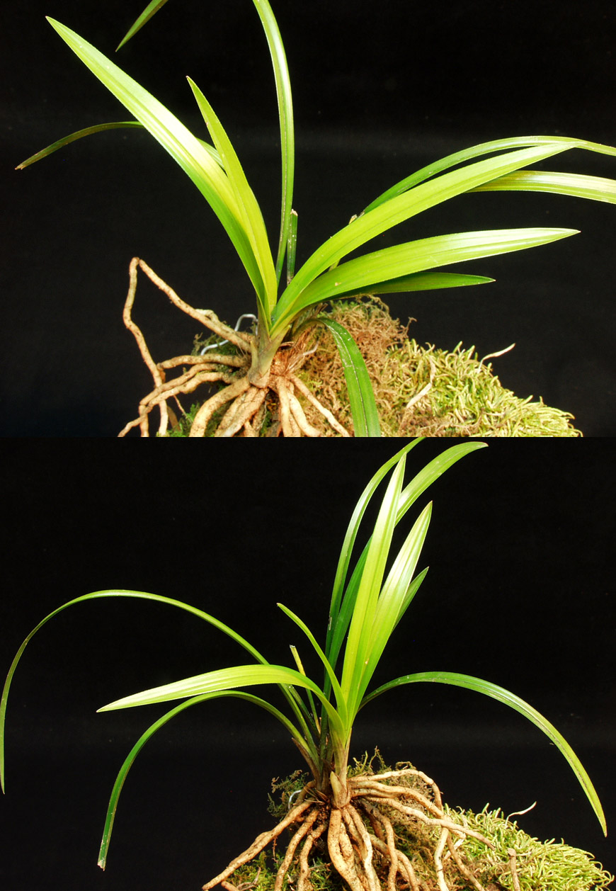 ������ ū������ �� �� �ֽ��ϴ�.