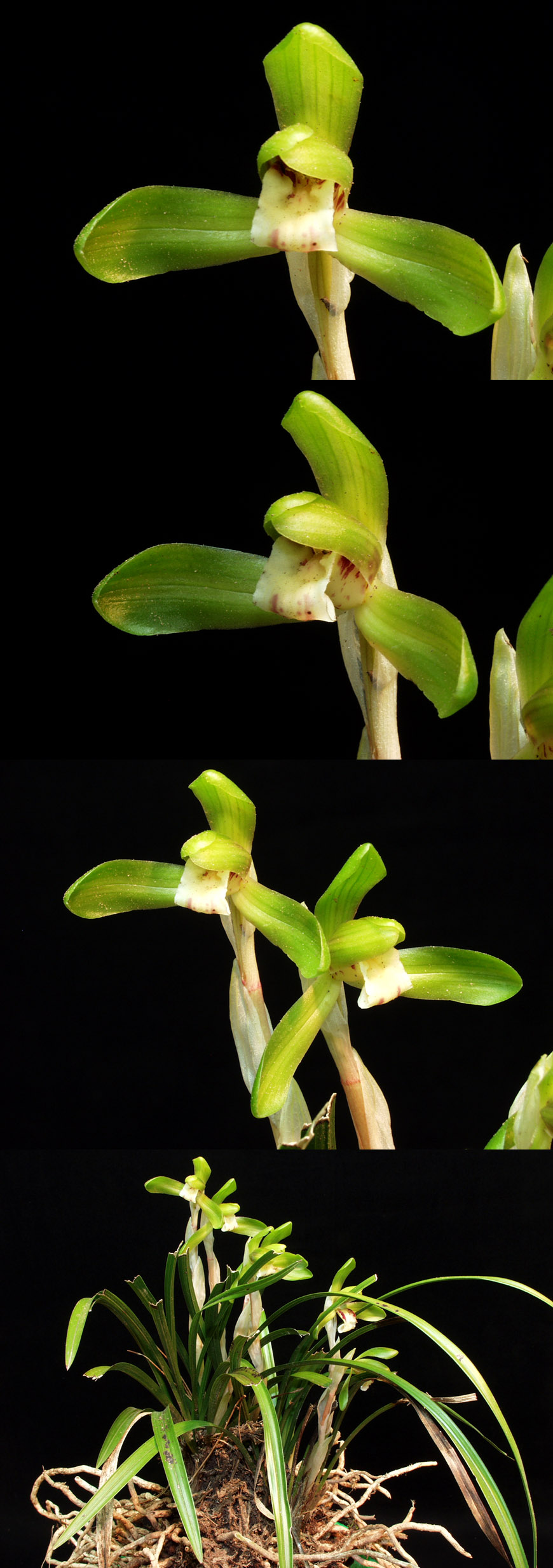 ������ ū������ �� �� �ֽ��ϴ�.