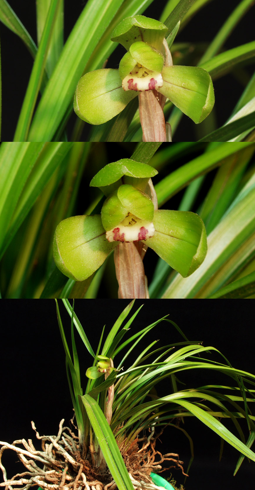 ������ ū������ �� �� �ֽ��ϴ�.