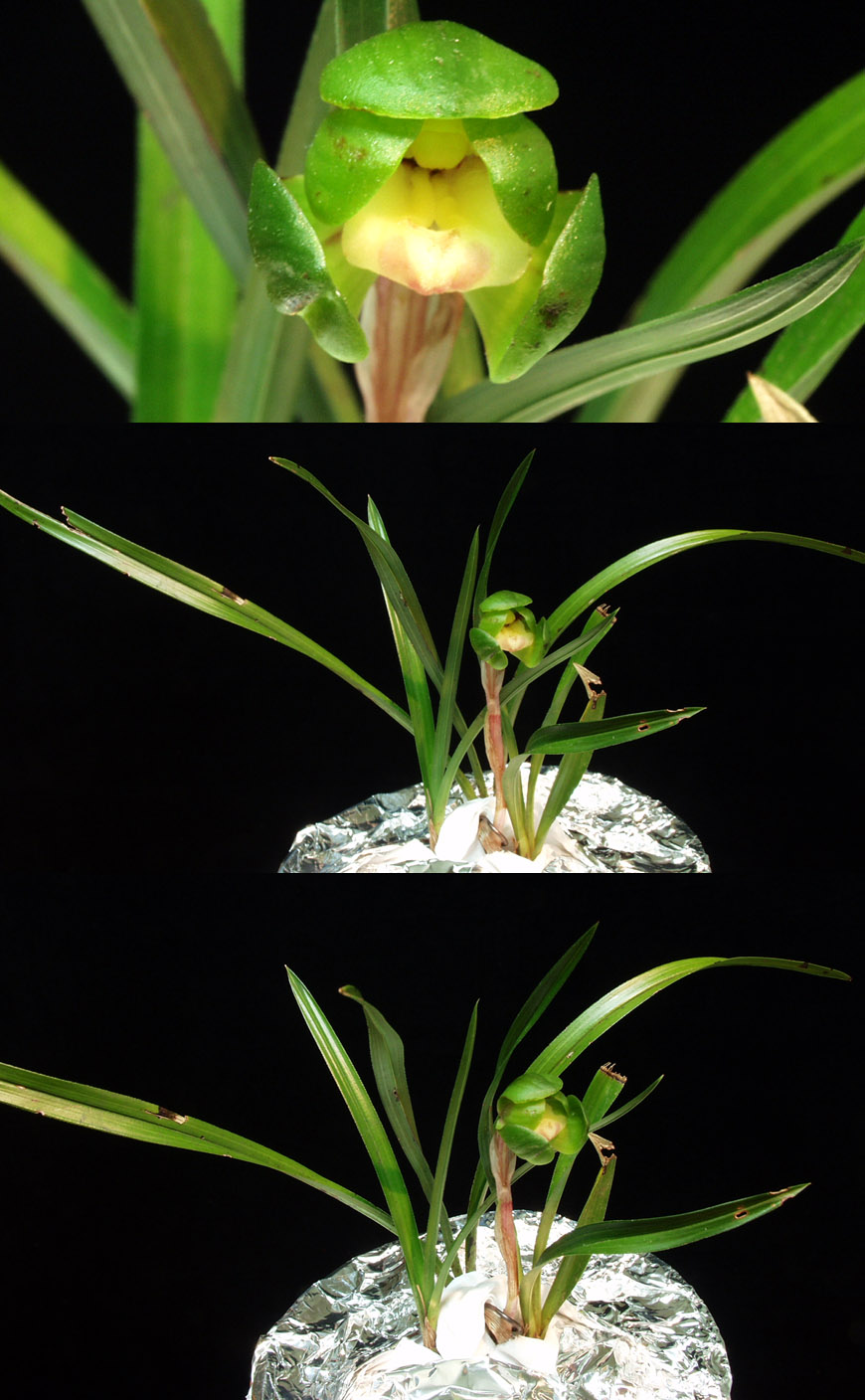 ������ ū������ �� �� �ֽ��ϴ�.