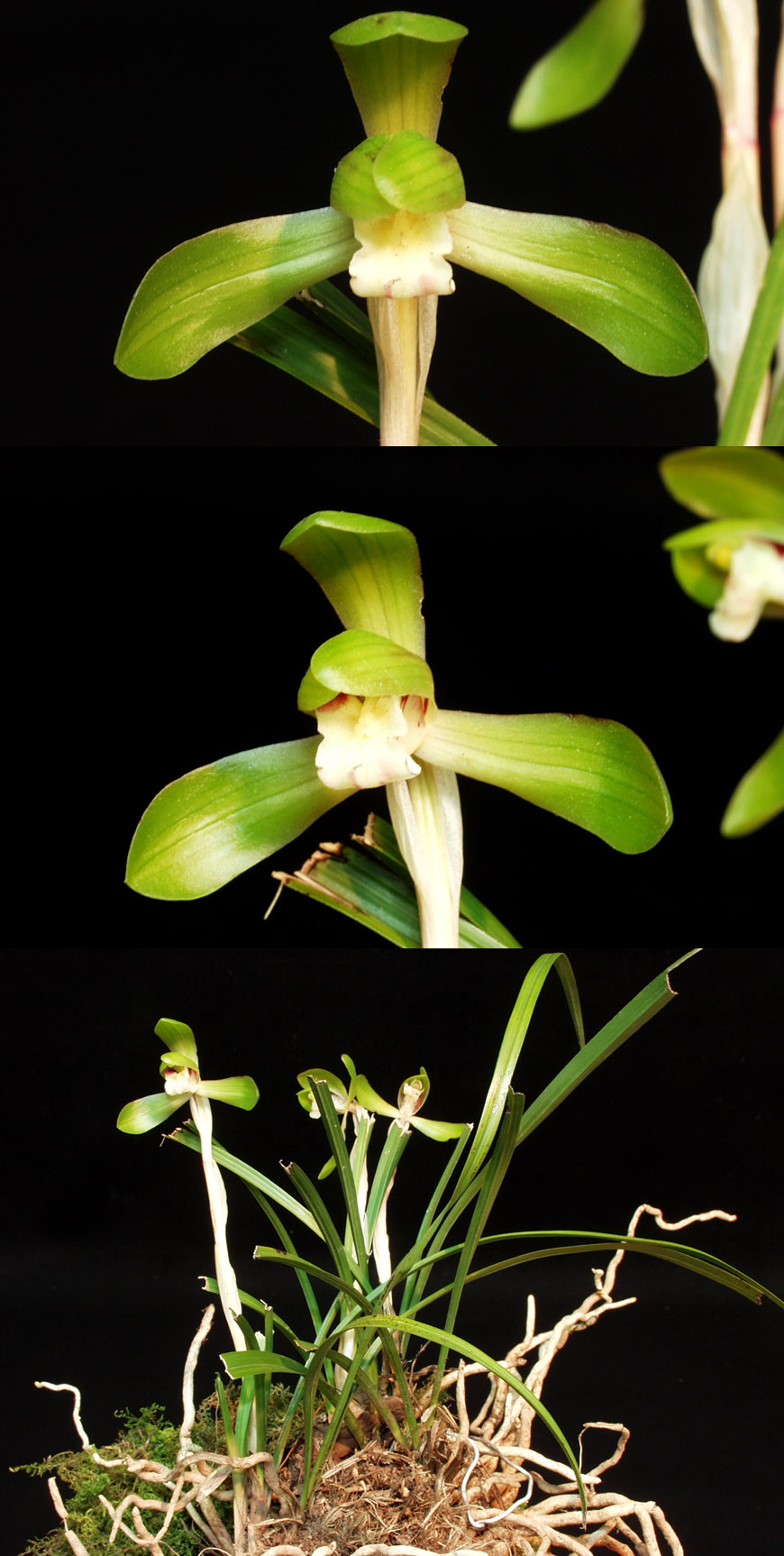 ������ ū������ �� �� �ֽ��ϴ�.