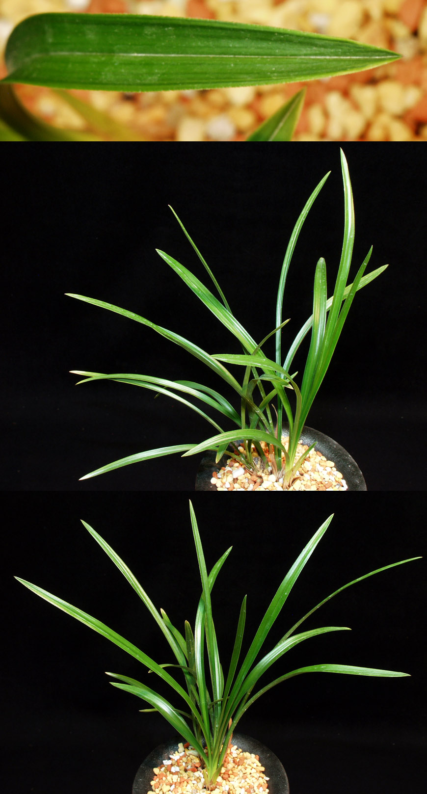 ������ ū������ �� �� �ֽ��ϴ�.