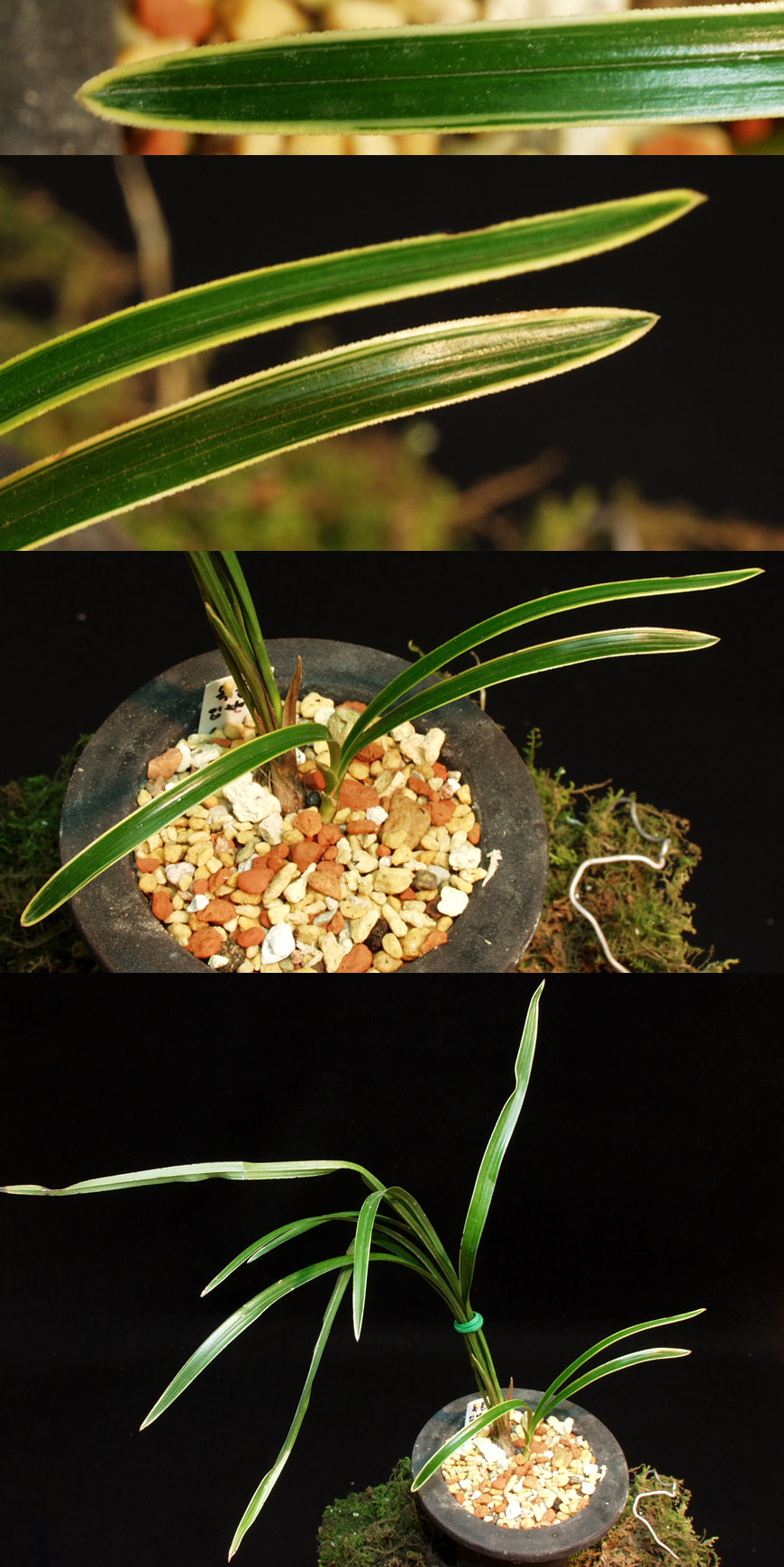 ������ ū������ �� �� �ֽ��ϴ�.