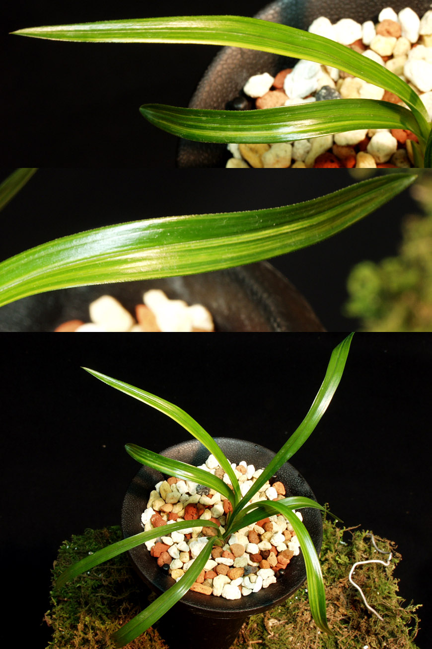 ������ ū������ �� �� �ֽ��ϴ�.