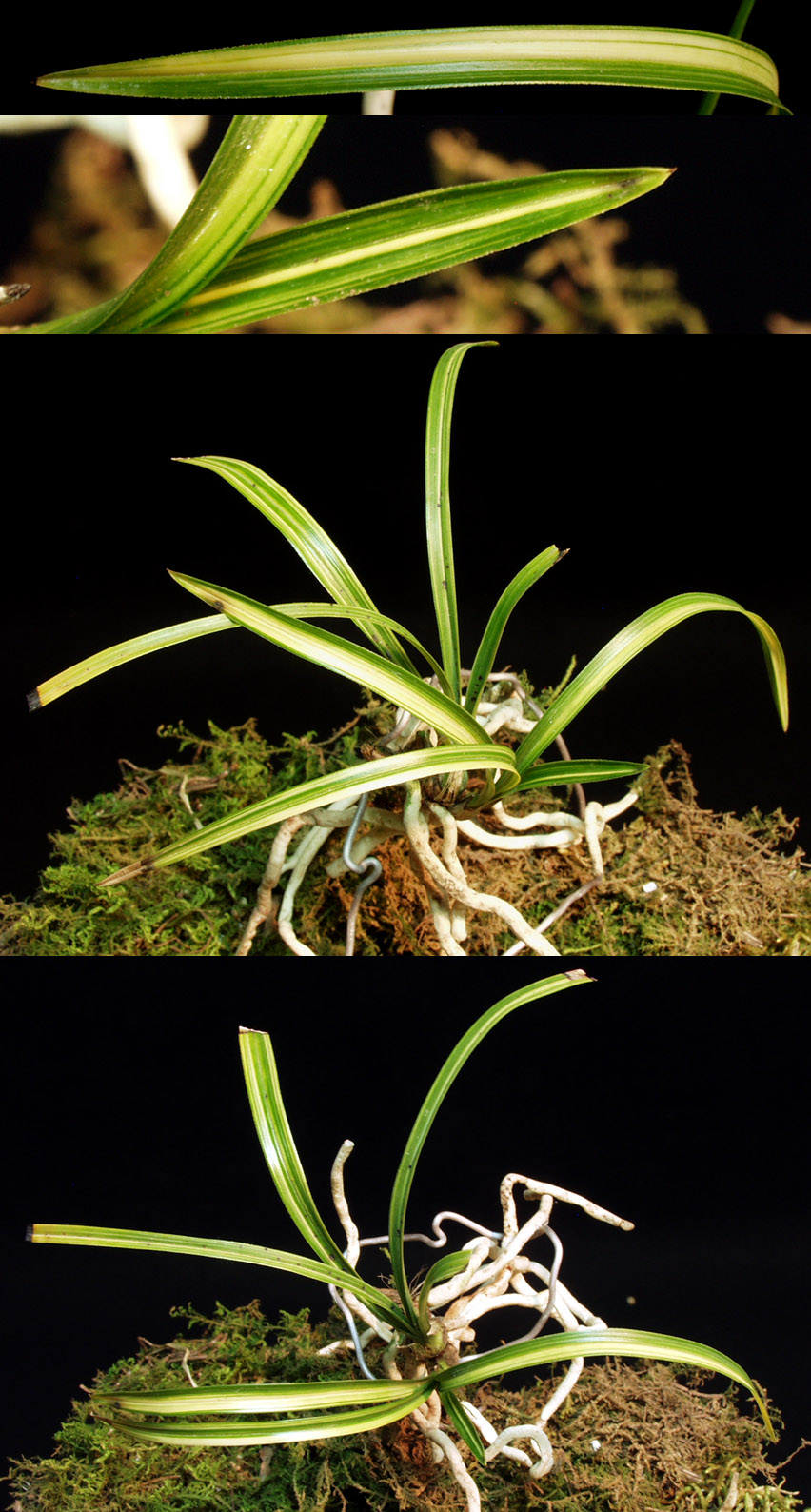 ������ ū������ �� �� �ֽ��ϴ�.