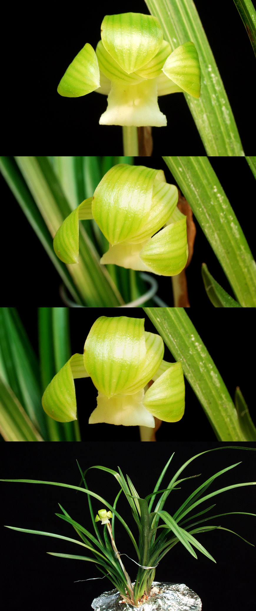 ������ ū������ �� �� �ֽ��ϴ�.