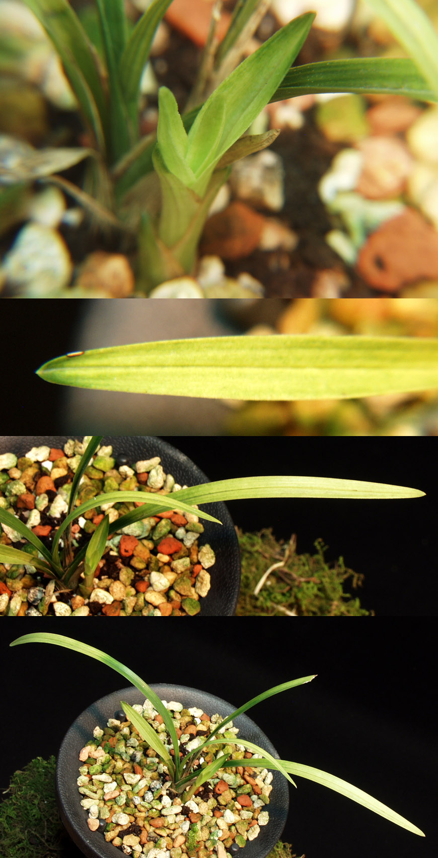 ������ ū������ �� �� �ֽ��ϴ�.