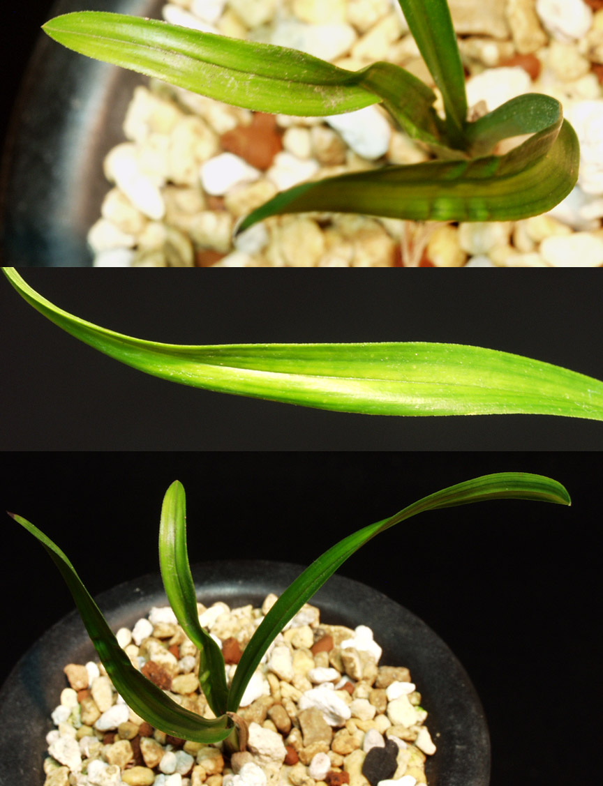 ������ ū������ �� �� �ֽ��ϴ�.