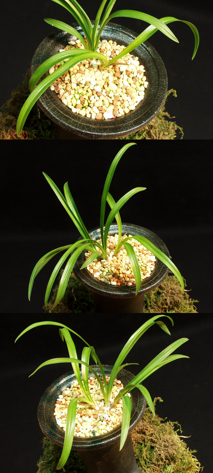 ������ ū������ �� �� �ֽ��ϴ�.